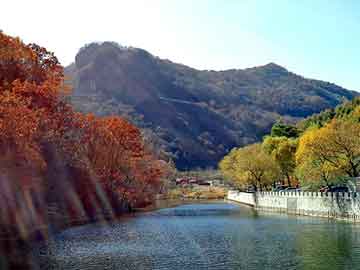 新澳天天开奖资料大全旅游团，简思